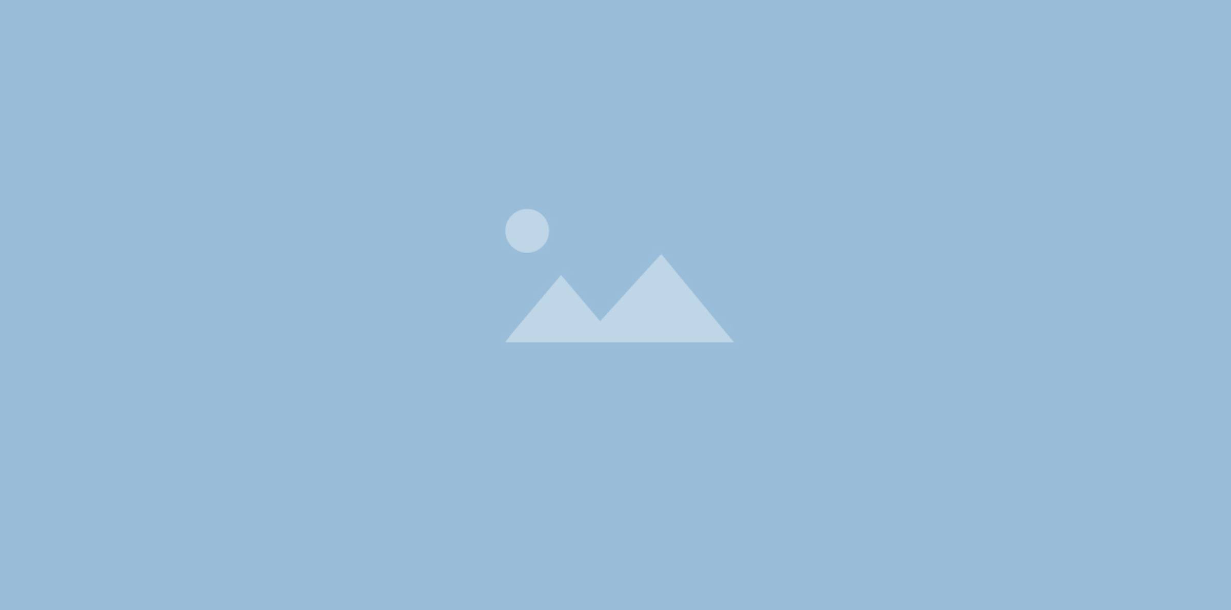 Placeholder case studies